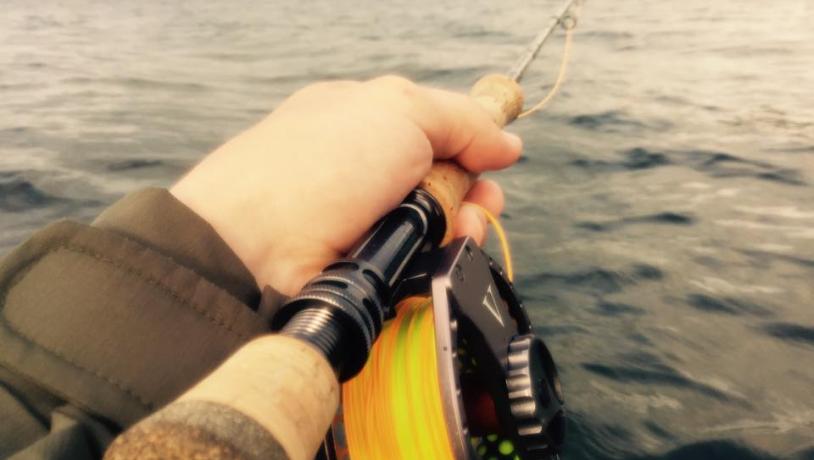 Seatrout Mariagerfjord - de uskrevne regler