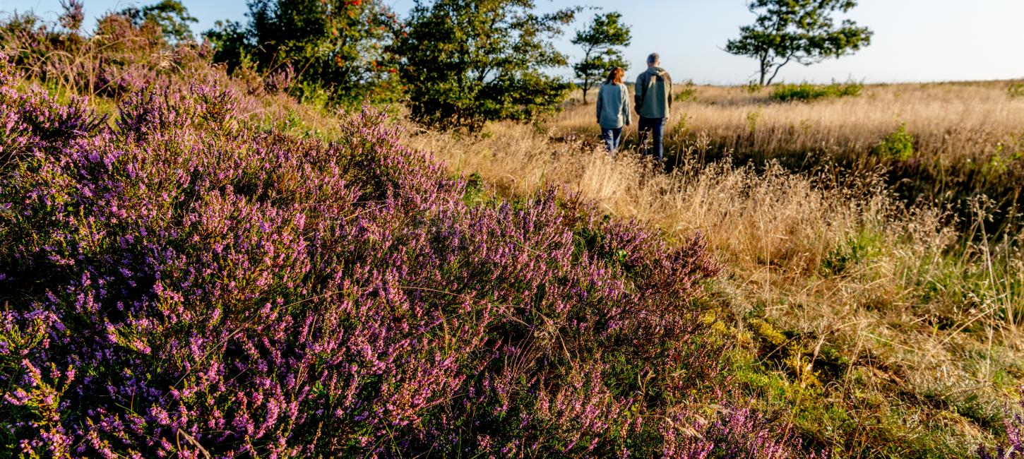 De Himmerlandske Heder