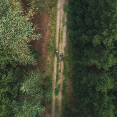 På cykel i naturen i Himmerland