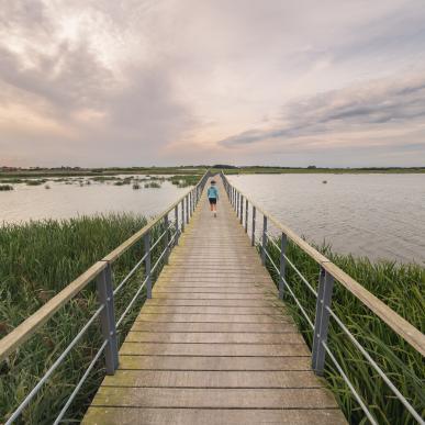 Vilsted Sø - vandring i Himmerland