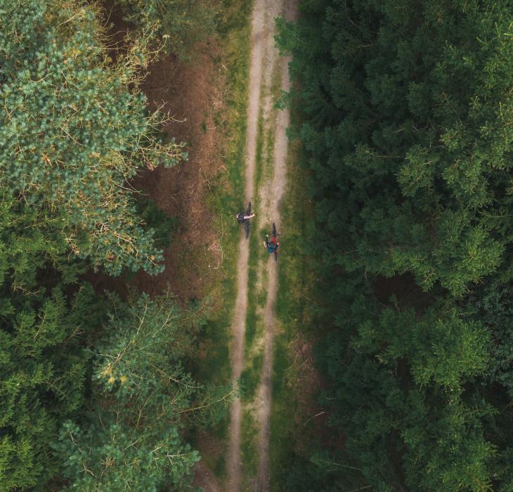 På cykel i naturen i Himmerland